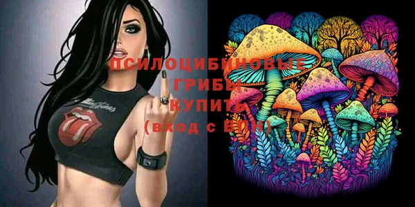стаф Абинск