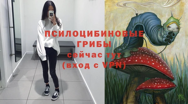 стаф Абинск