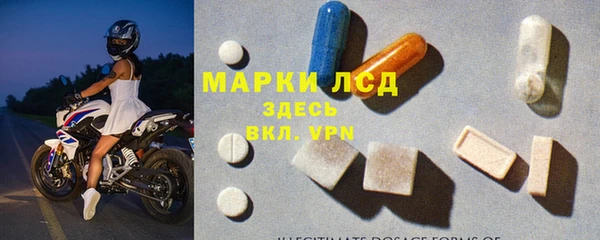 стаф Абинск