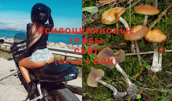 МДПВ Абаза