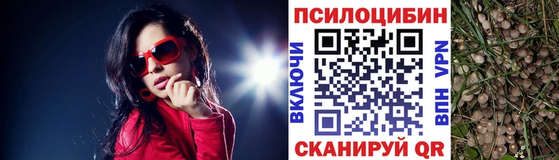 Псилоцибиновые грибы Psilocybine cubensis Кудымкар