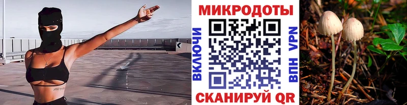 Галлюциногенные грибы мицелий  где продают наркотики  Кудымкар 